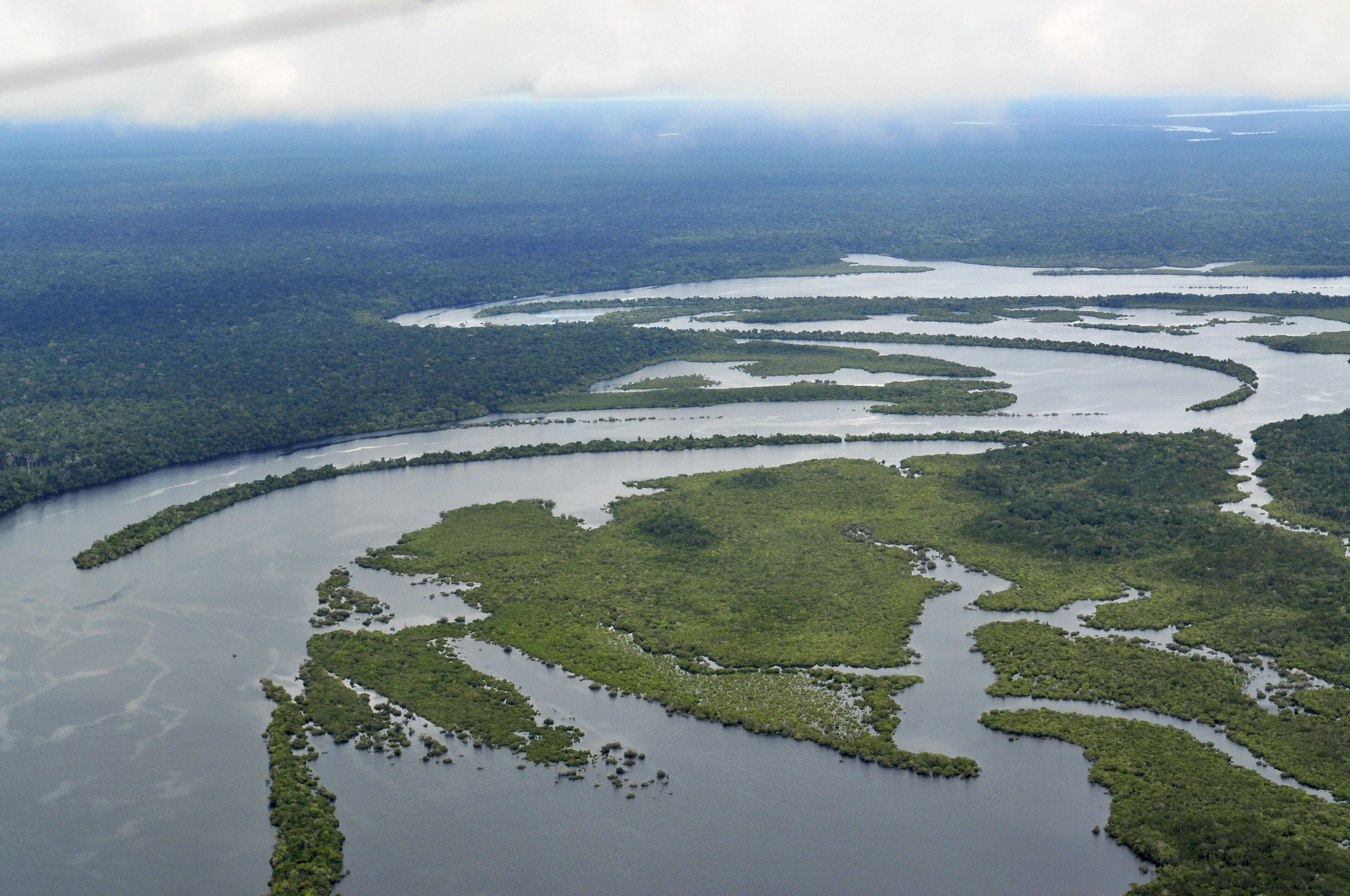 Amazon Rainforest