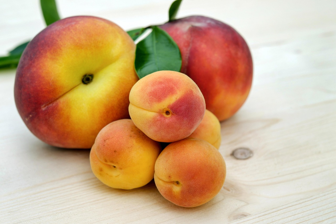 Apricot
