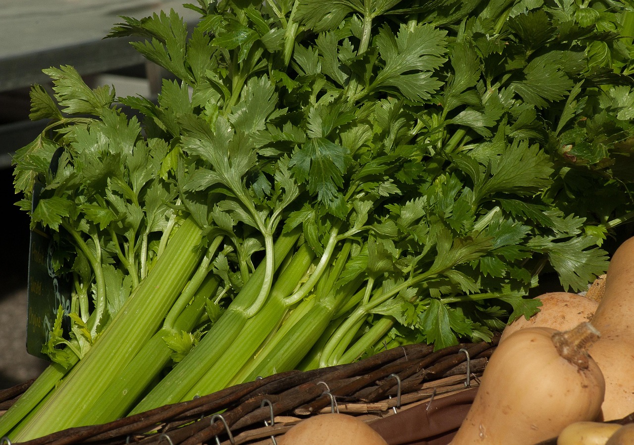 Celery