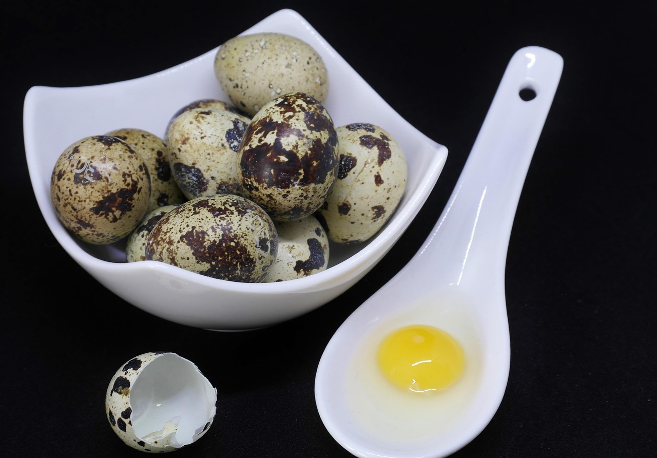 Eggs