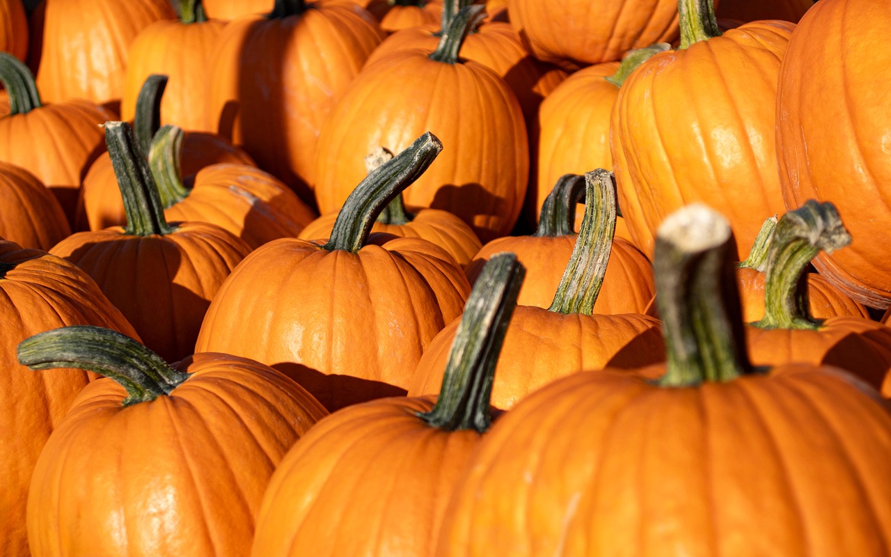 Pumpkin