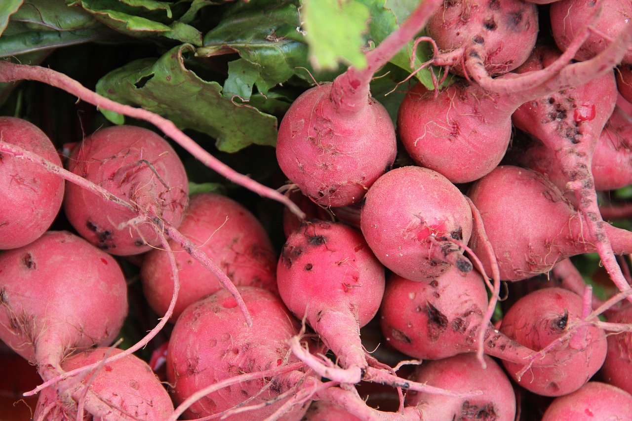 Radish