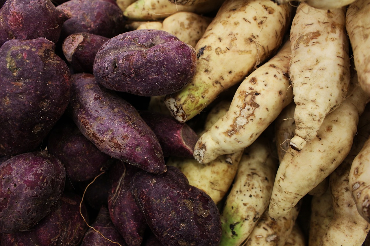 Sweet Potato