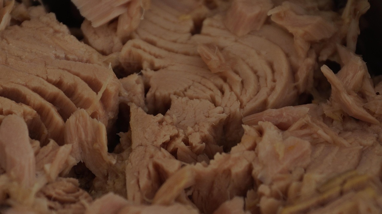 Tuna