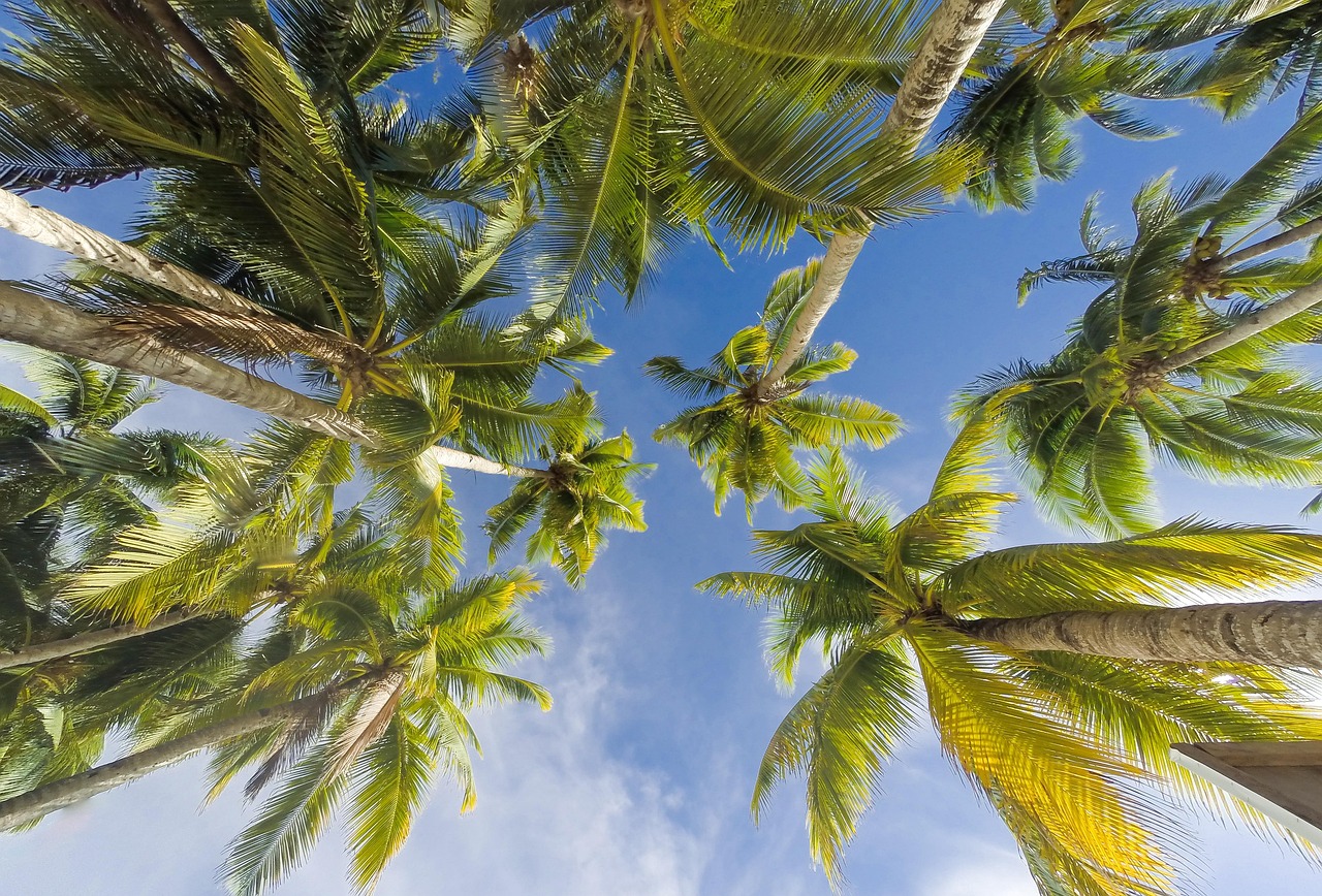 Warm Tropical Weather