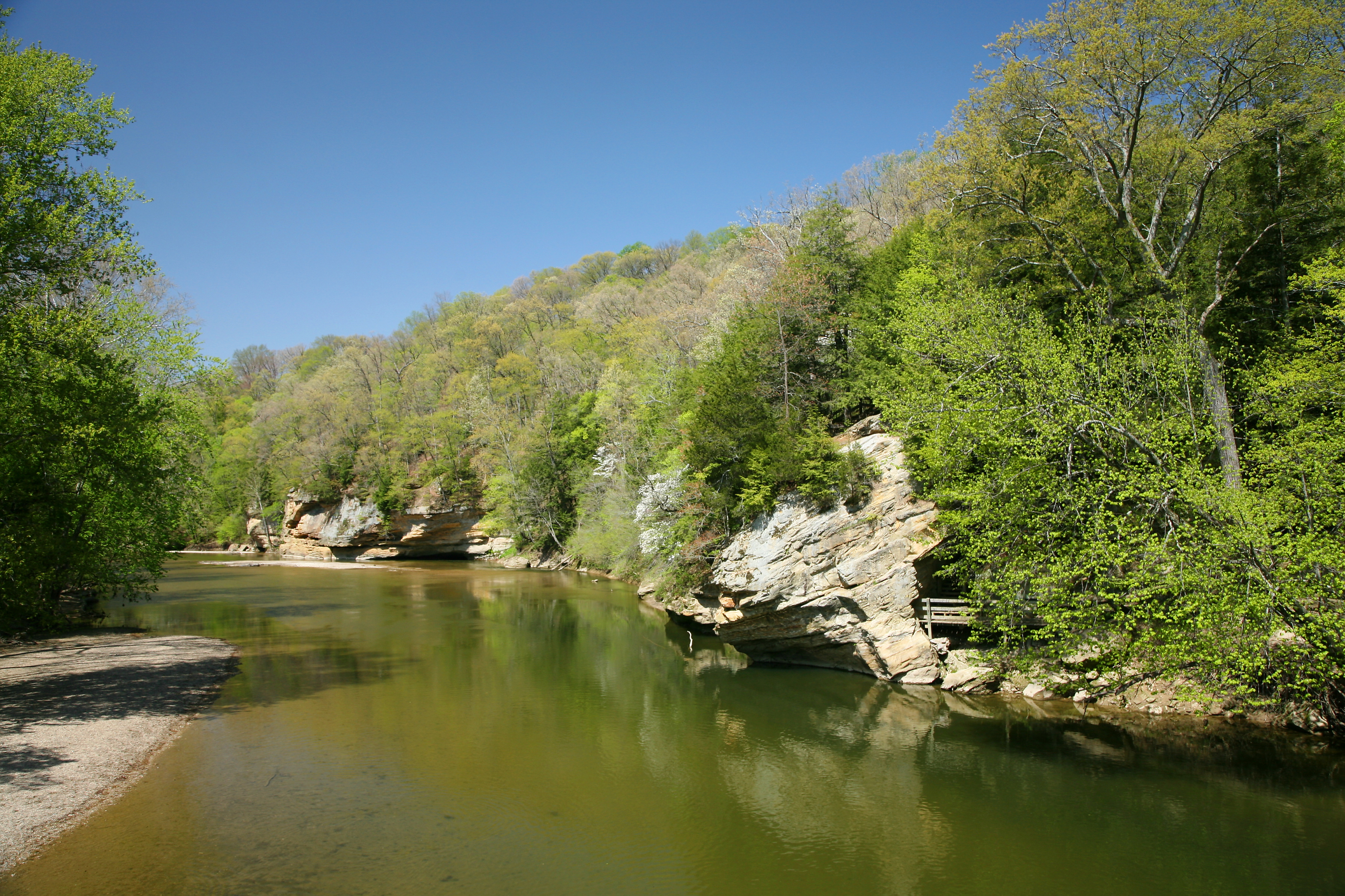 Turkey Run State Park