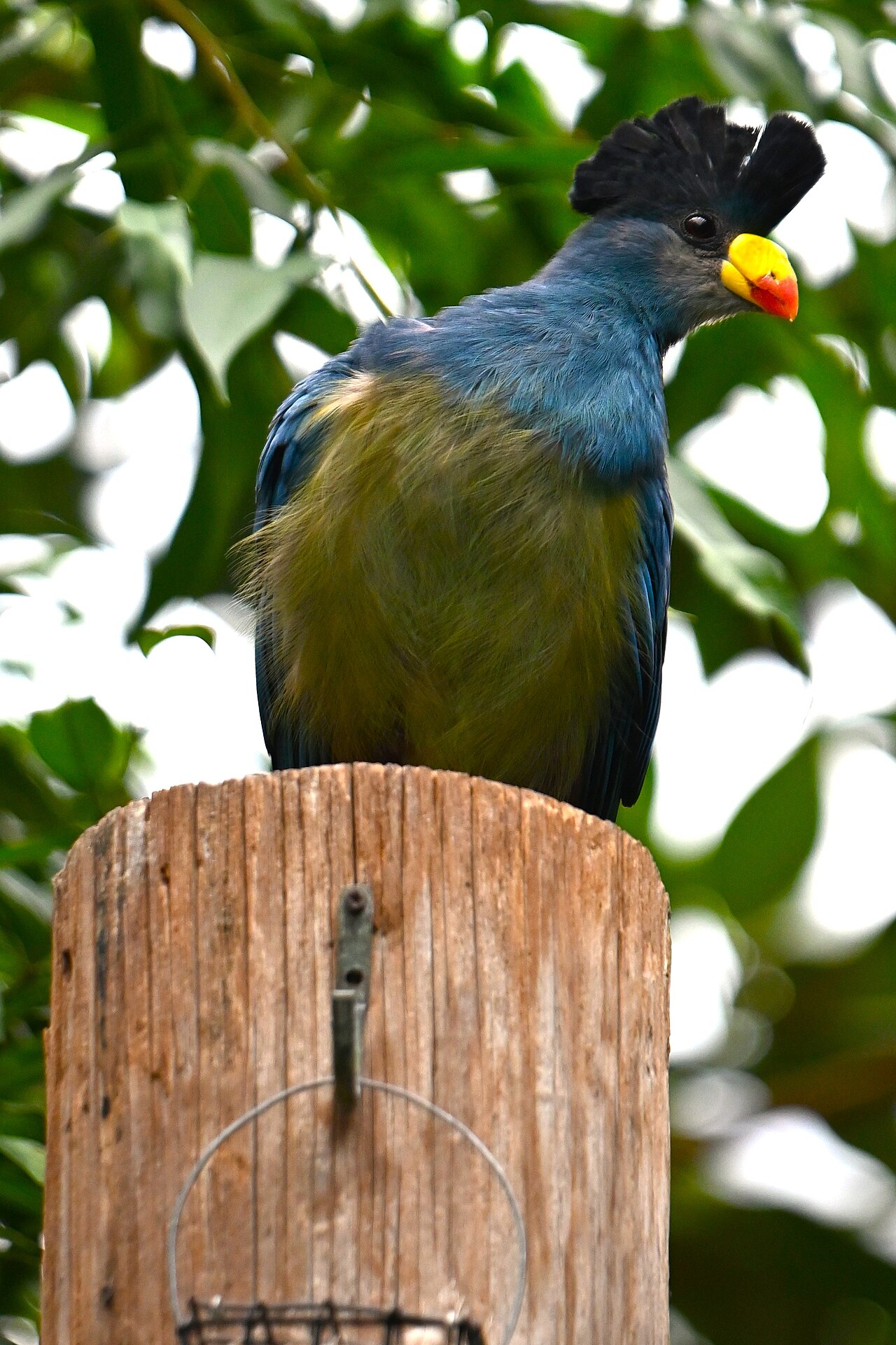 Sedgwick County Zoo